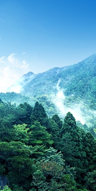 生态修复