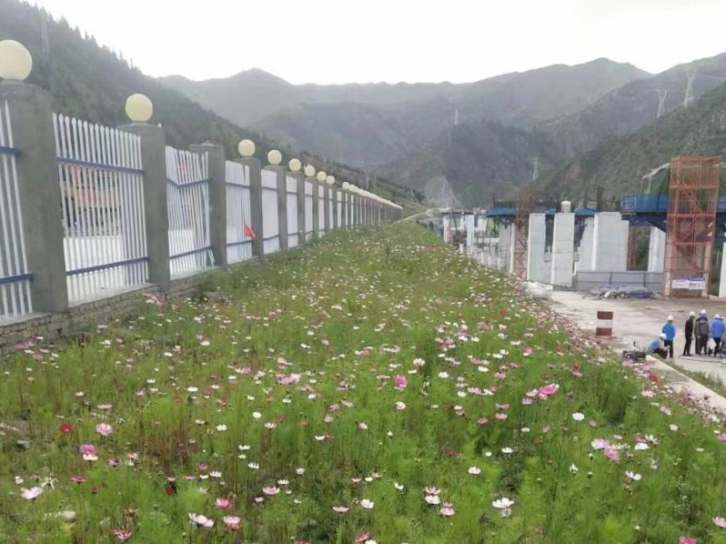 高原高寒地区典型工程创面土壤改良与生态修复技术