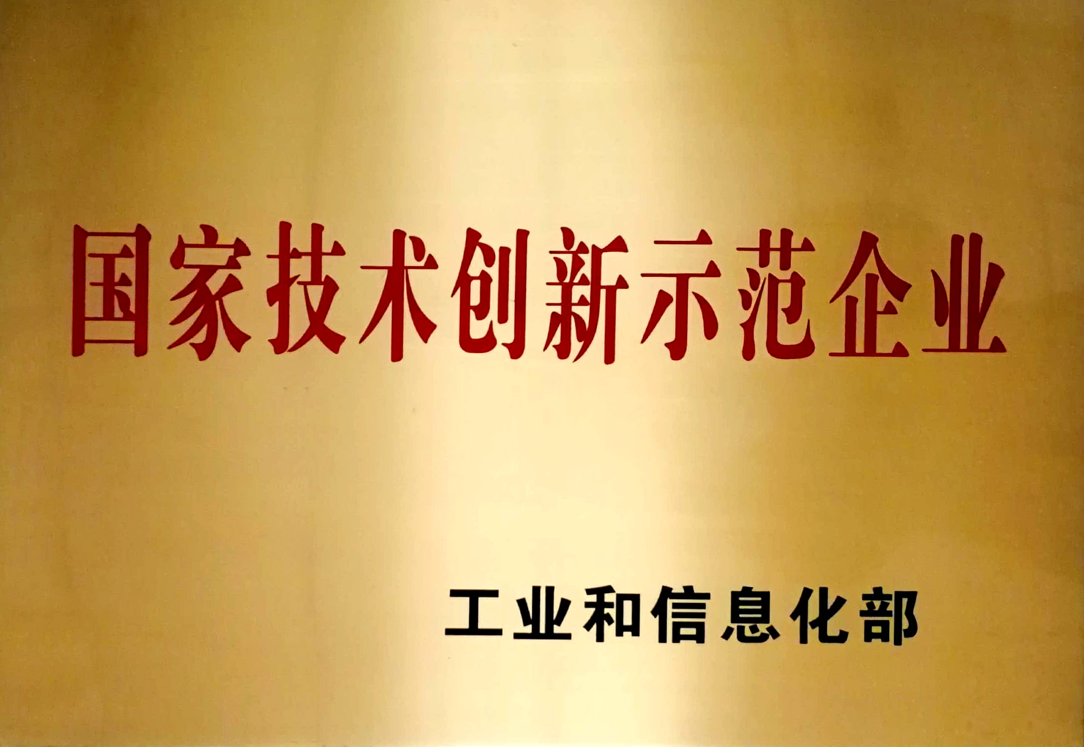 国家技术创新示范企业