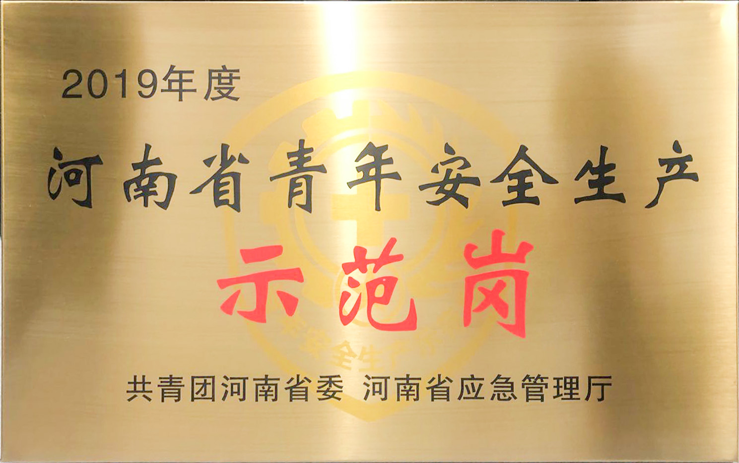2019年度河南省青年安全生产示范岗
