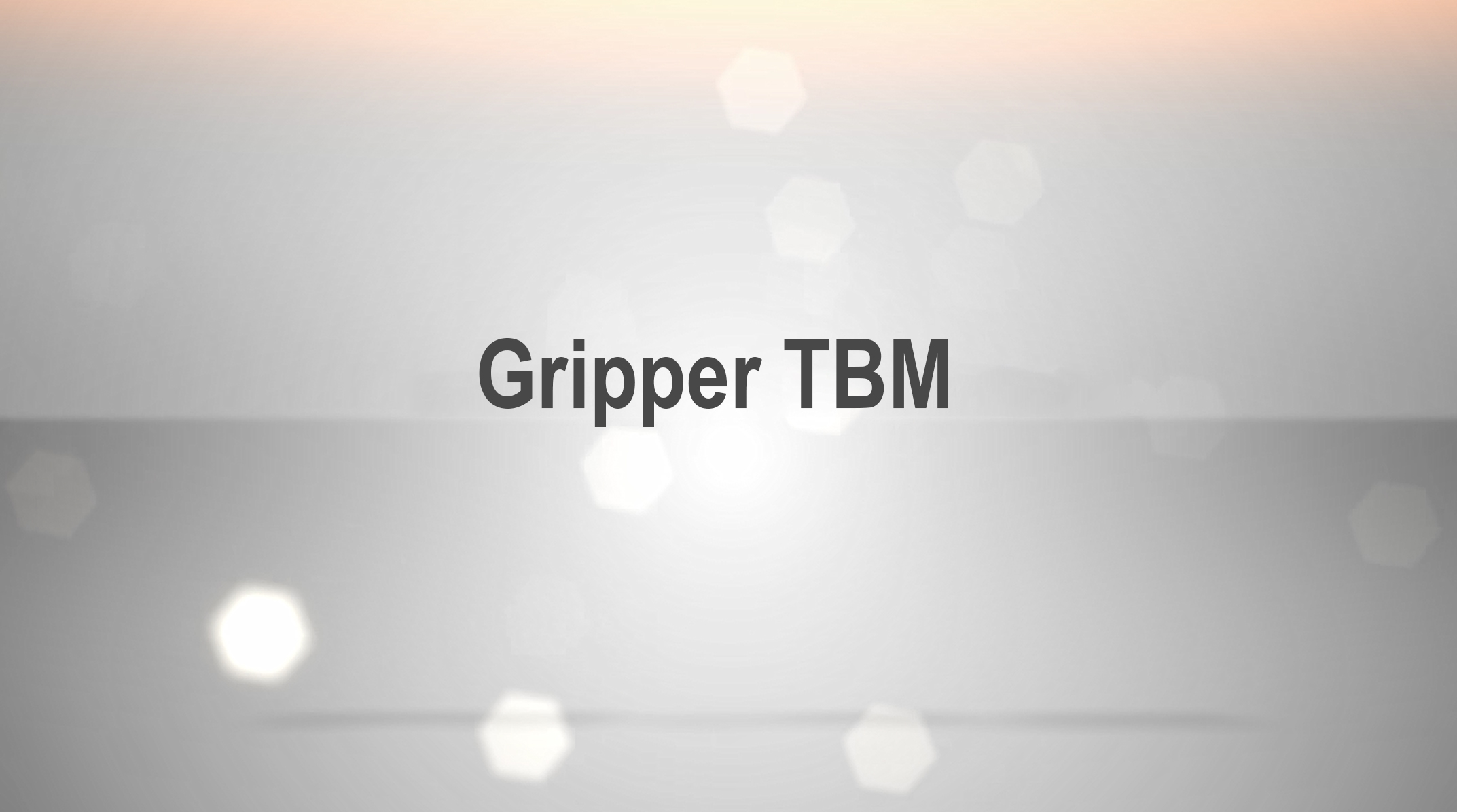 Gripper TBM