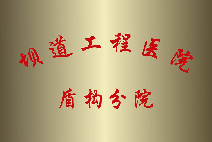 成立坝道工程医院盾构分院