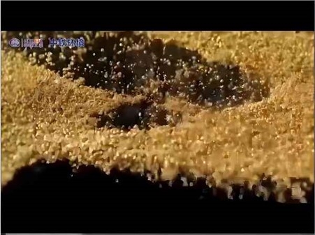 不忘初心