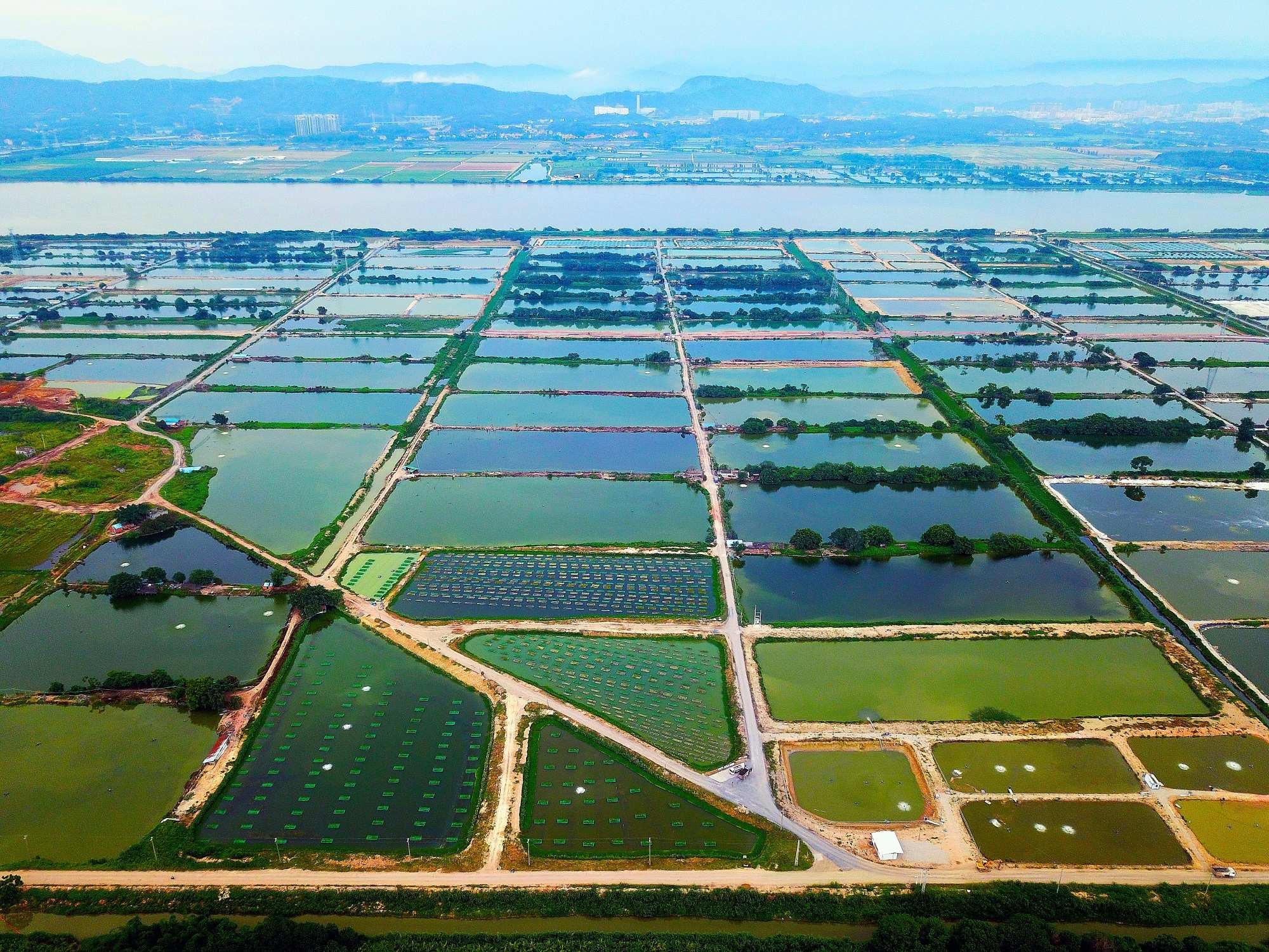 世界地球日：铁肩筑绿  匠心护蓝——中国中铁的生态答卷（一）