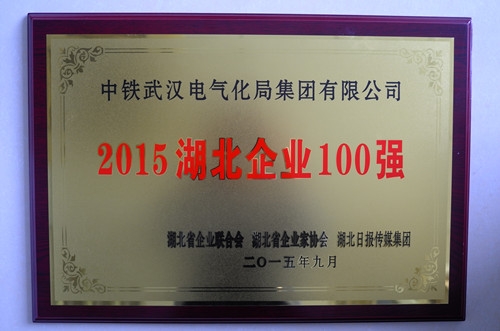 2015湖北百强企业