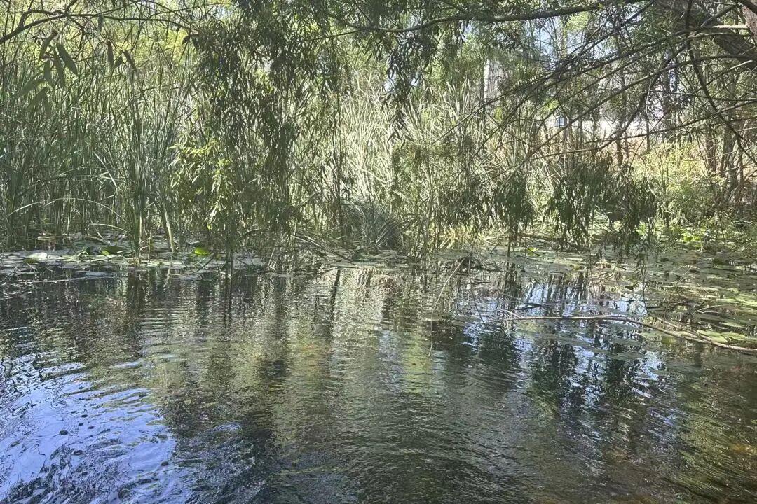扎根高原治水 筑牢黄河上游生态屏障｜中国铁工投资青海生态实践获多家媒体关注