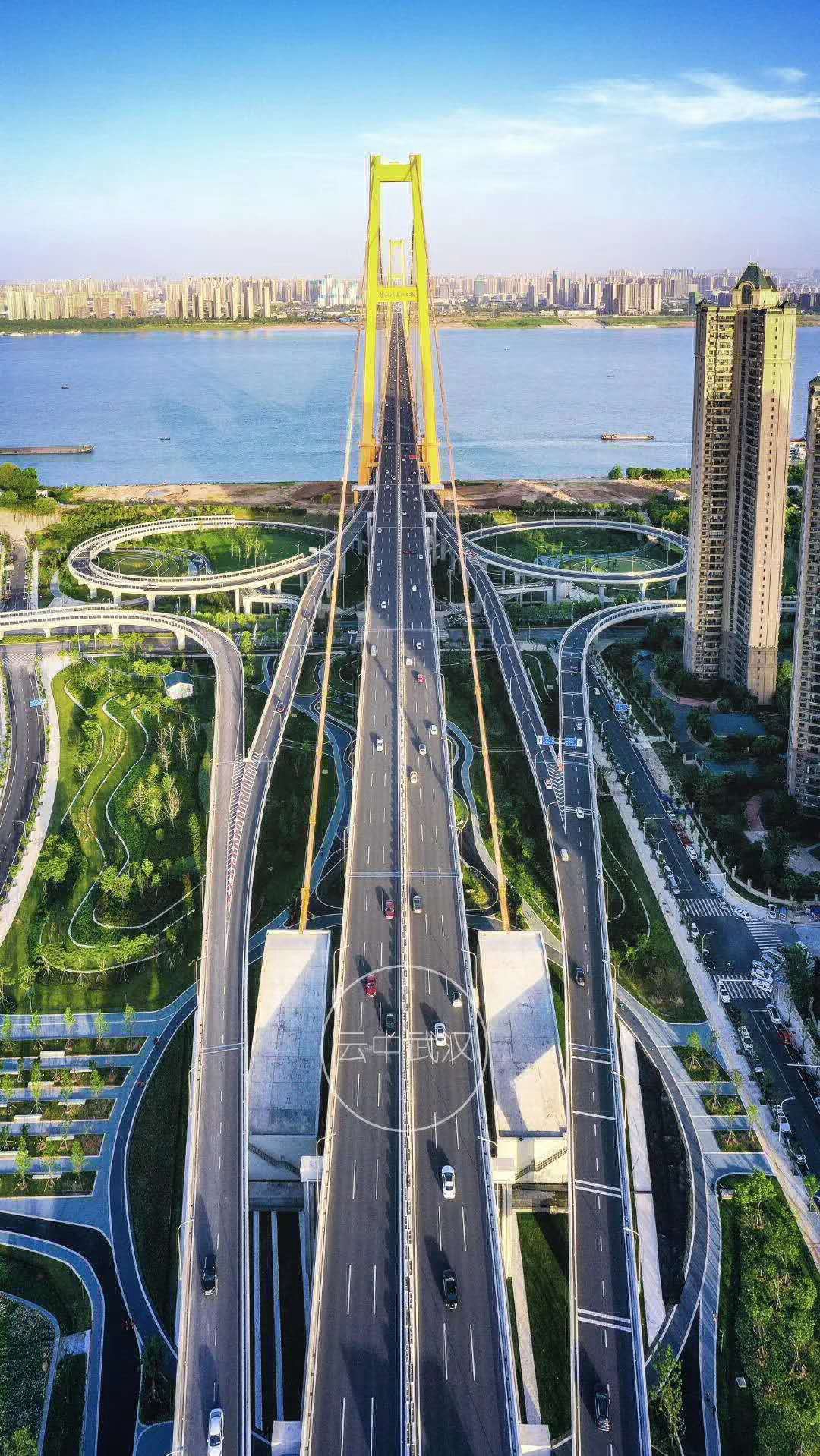 杨泗港长江大桥景观绿化工程