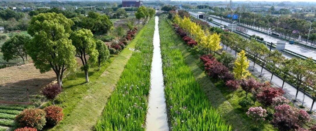 水清岸绿架新桥 生态惠民启新程——北京天坛医院安徽医院周边水系连通及官河清淤疏浚工程完工