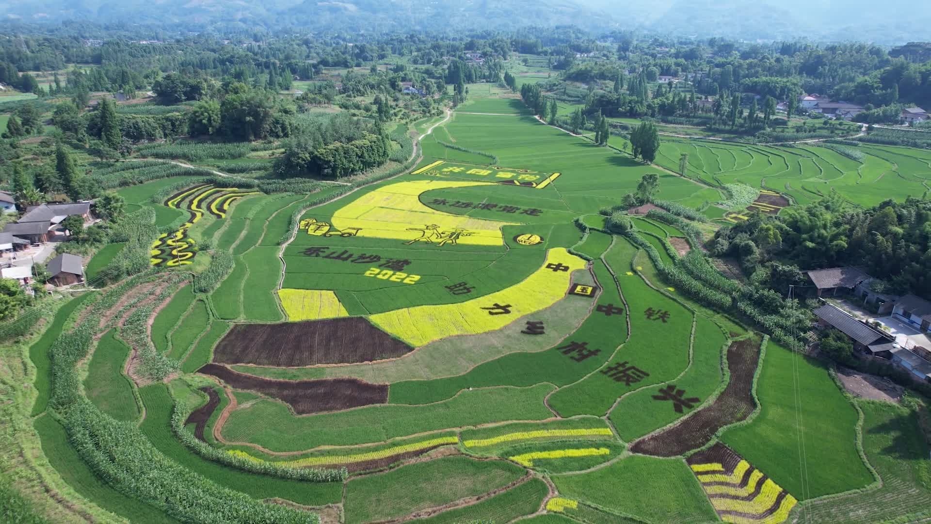 四川乐山稻农研学项目